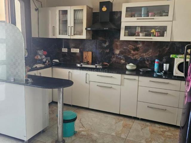 2 BHK Independent Builder Floor in Sector 77 for rent Mohali. The reference number is 20184599