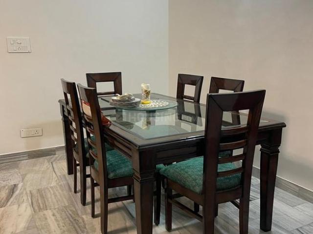 2 BHK Independent Builder Floor in Sector 23 for rent Panchkula. The reference number is 20408879