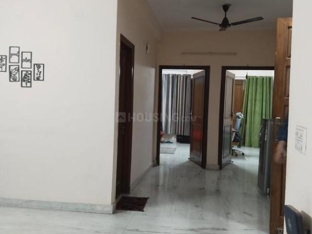 2 BHK Independent Builder Floor in Sector 23A for rent Gurgaon. The reference number is 20018116