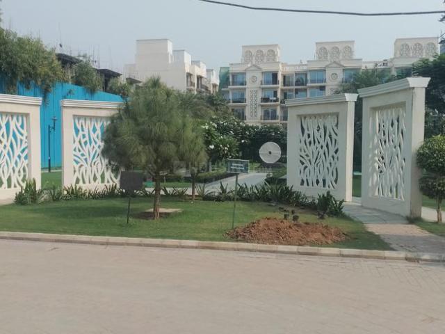 2 BHK Independent Builder Floor in Sector 36 for resale Sohna. The reference number is 15819813