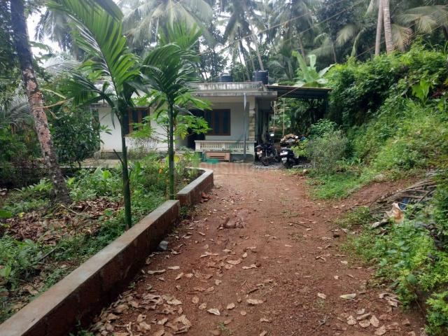 2 BHK Independent House in Ambalappadu for rent Kozhikode. The reference number is 11564826