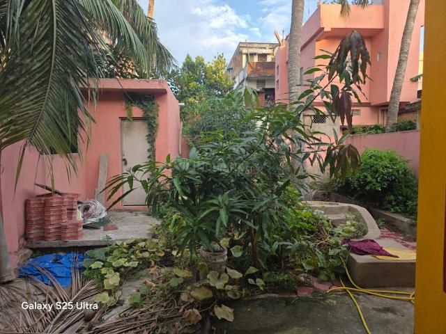 2 BHK Independent House in Badasankha for rent Puri. The reference number is 20899681