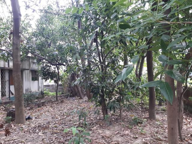 2 BHK Independent House in Dharampur for resale Hooghly. The reference number is 6627437