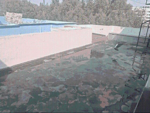 2 BHK Penthouse in Munnekollal for rent Bengaluru. The reference number is 17373862