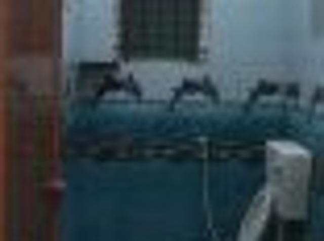 2 BHK rent Villa in Varthur, Bangalore