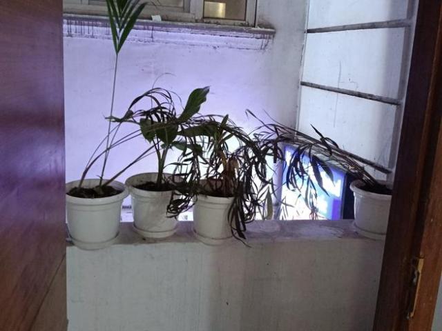 2 BHK Studio in Munirka for rent New Delhi. The reference number is 19901740