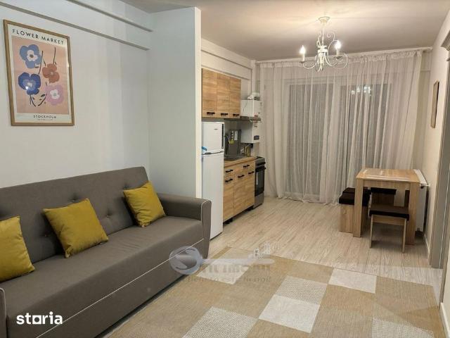 2 CAM PRIMA INCHIRIERE OPEN SPACE BUCIUM VISAN