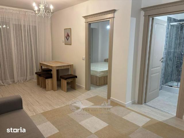 2 CAM PRIMA INCHIRIERE OPEN SPACE BUCIUM VISAN
