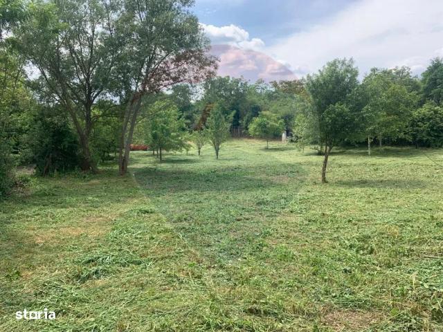 2 camere, casa de vanzare Timis judet, Bogda 9244 •