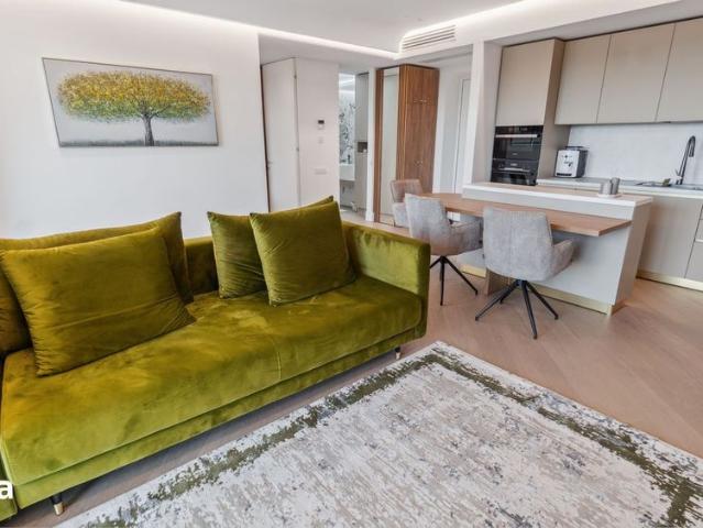 2 Camere Cortina 126 Iancu Niculae Barbu Vacarescu Herastrau Lacul Tei