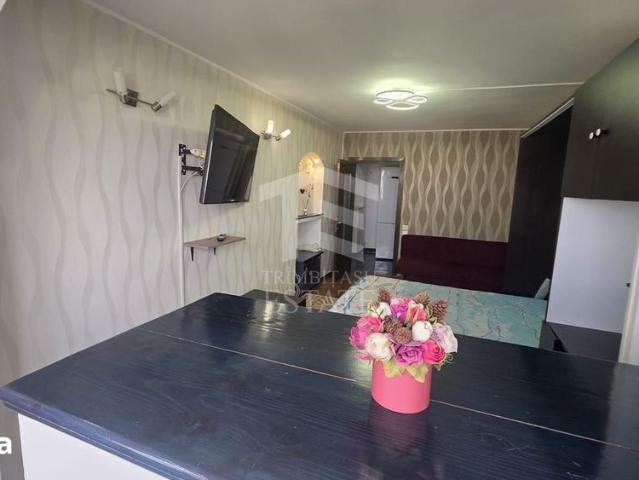 2 camere decomandat Turnu Magurele Emil Racovita Berceni
