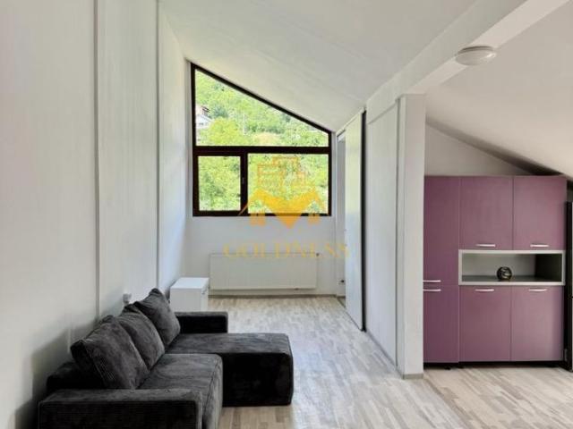 2 camere, Grigorescu, Donath, FESM, Iuliu Hatieganu, Pet Friendly