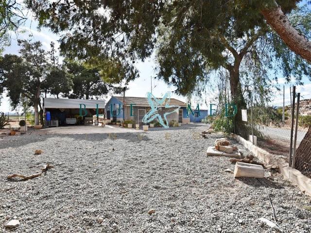 2 CASAS DE CAMPO CON PARCELA DE 14.000 METROS EN VENTA