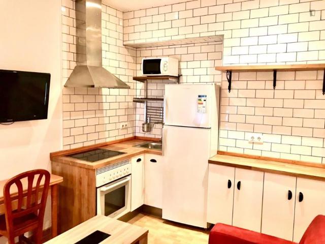2 Dormitorio Apartamentos Madrid Madrid 104000383