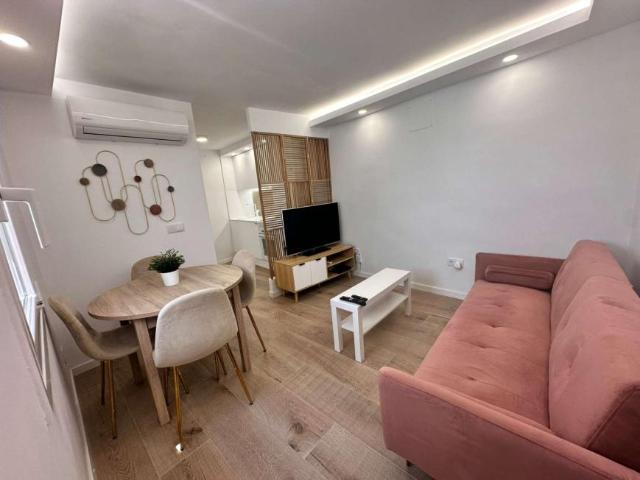 2 Dormitorio Apartamentos Madrid Madrid 101191025