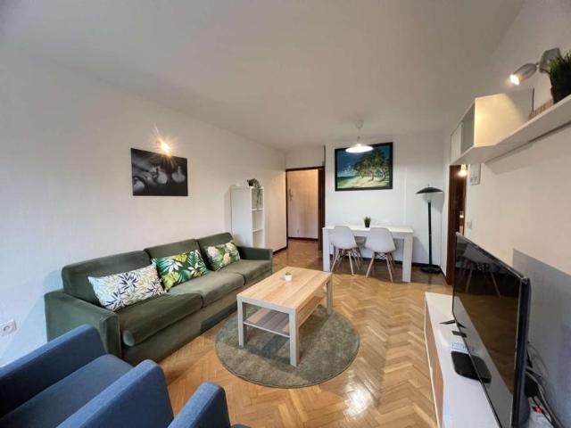 2 Dormitorio Apartamentos Madrid Madrid 101191334