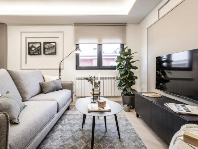 2 Dormitorio Apartamentos Madrid Madrid 101512774