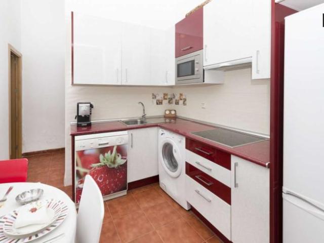 2 Dormitorio Apartamentos Madrid Madrid 101764875
