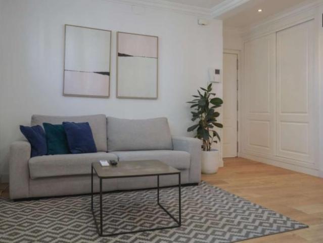 2 Dormitorio Apartamentos Madrid Madrid 101771572