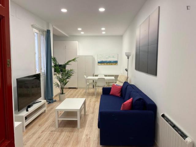 2 Dormitorio Apartamentos Madrid Madrid 103256831