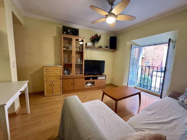 2 Dormitorio Apartamentos Madrid Madrid 91603286