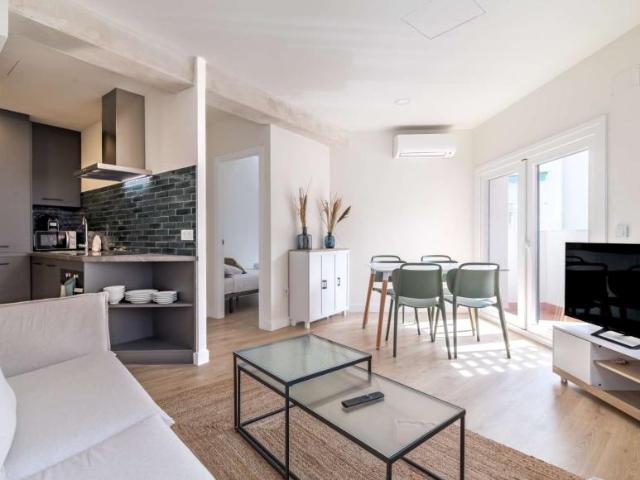 2 Dormitorio Apartamentos Madrid Madrid 96690503