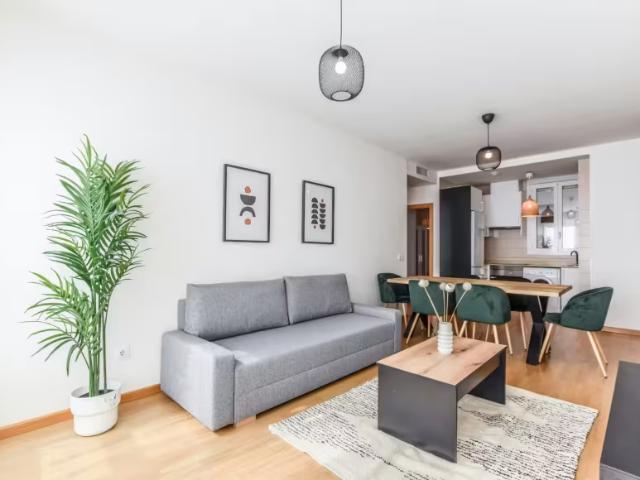 2 Dormitorio Apartamentos Madrid Madrid 98022735