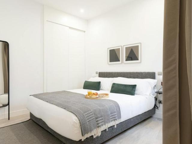 2 Dormitorio Apartamentos Madrid Madrid 99726936