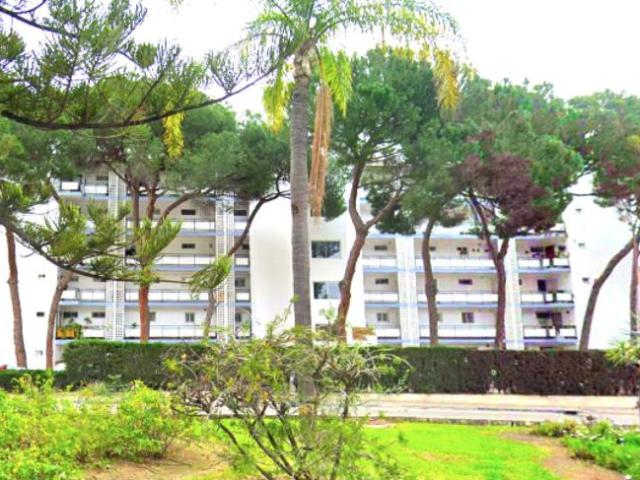 2 Dormitorio Apartamentos Málaga Andalusia 104184225