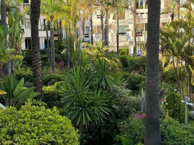 2 Dormitorio Apartamentos Málaga Andalusia 95264602
