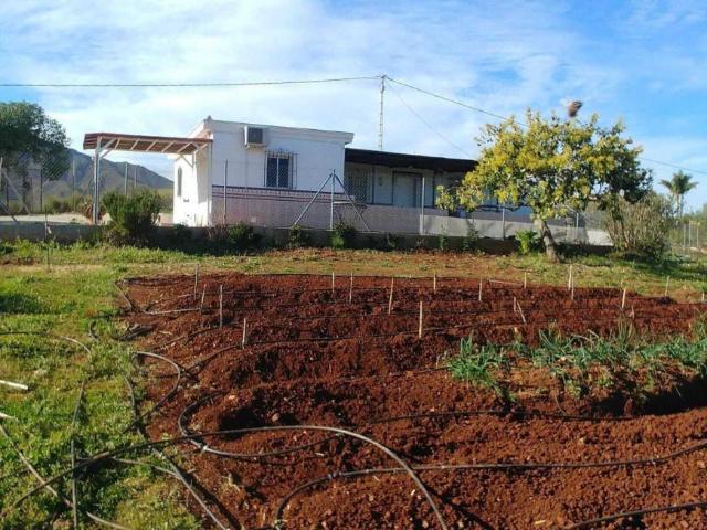 2 Dormitorio Apartamentos Málaga Andalusia LS95261391