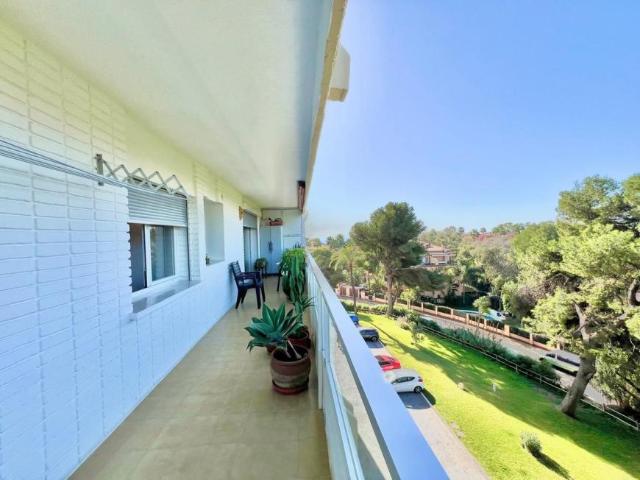 2 Dormitorio Apartamentos Málaga Andalusia LS95262341