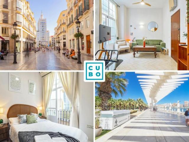 2 Dormitorio Apartamentos Málaga Málaga 100944356