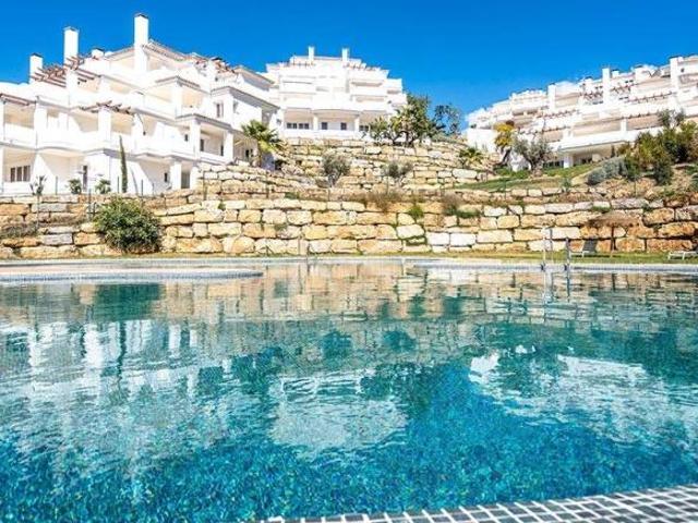 2 Dormitorio Apartamentos Malaga Malaga 102053349