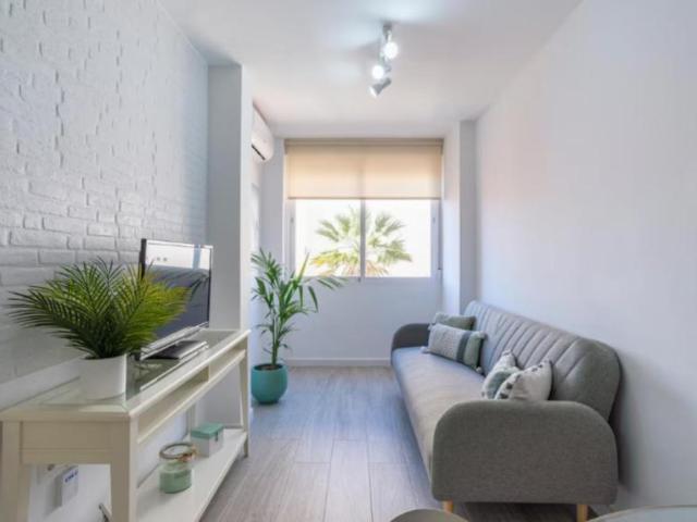 2 Dormitorio Apartamentos Málaga Málaga 103588971