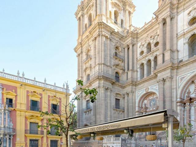 2 Dormitorio Apartamentos Málaga Málaga 84222433