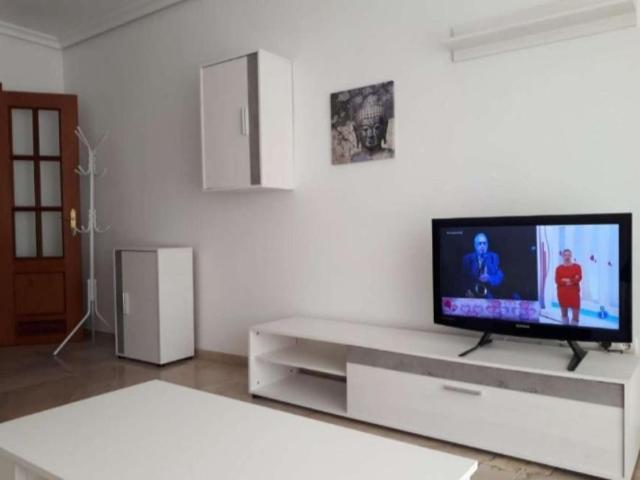 2 Dormitorio Apartamentos Malaga Malaga 96849151