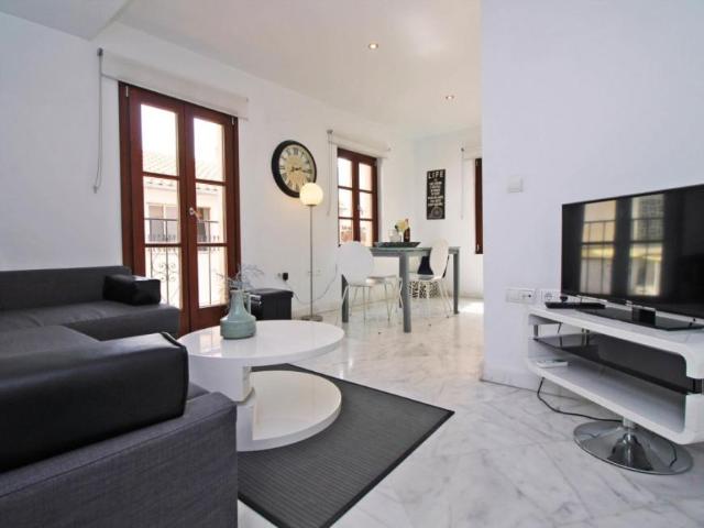 2 Dormitorio Apartamentos Málaga Málaga 96001372