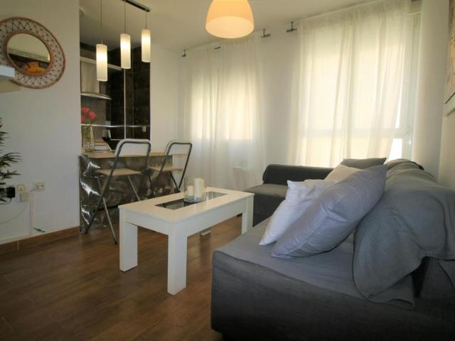 2 Dormitorio Apartamentos Málaga Málaga LS94498270