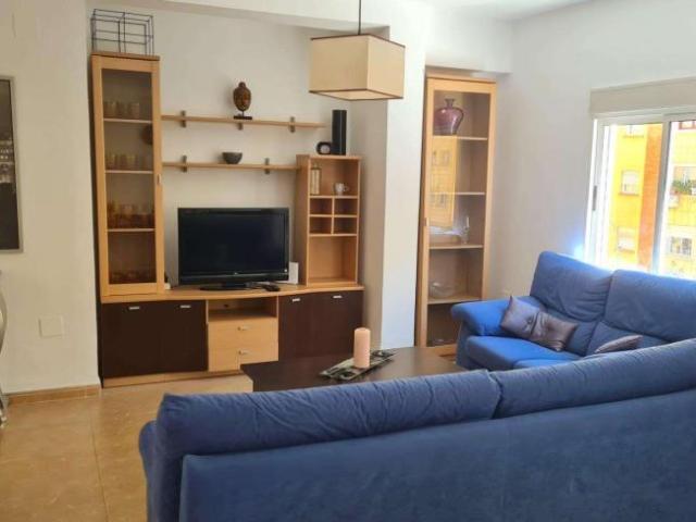 2 Dormitorio Apartamentos Malaga Malaga LS96239272