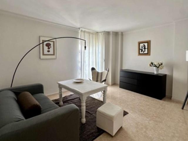 2 Dormitorio Apartamentos Malaga Malaga LS96468372