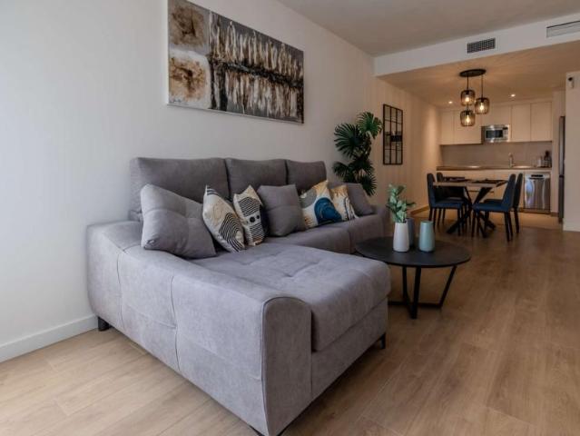 2 Dormitorio Apartamentos Malaga Malaga LS97910329