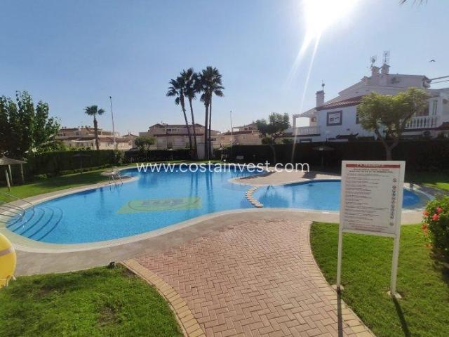 2 Dormitorio Apartamentos Orihuela Costa Costa Blanca 92992025