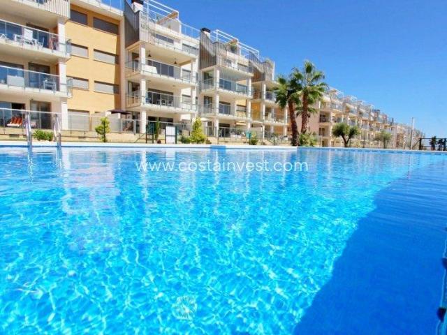 2 Dormitorio Apartamentos Orihuela Costa Costa Blanca LS80952138