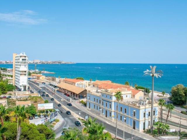 2 Dormitorio Apartamentos Alicante Alicante 101665069