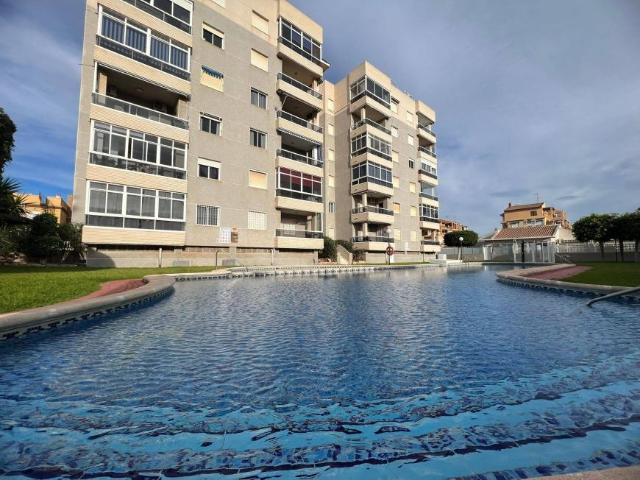 2 Dormitorio Apartamentos Alicante Alicante 102004535