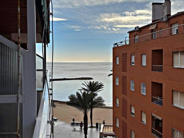 2 Dormitorio Apartamentos Alicante Alicante 102005479