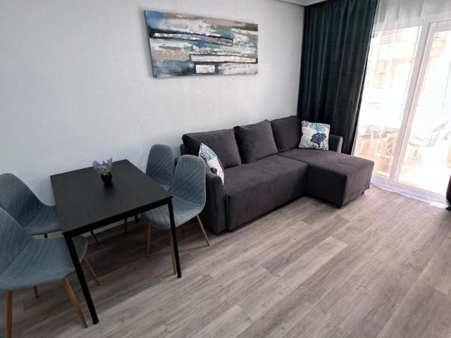 2 Dormitorio Apartamentos Alicante Alicante 102006183