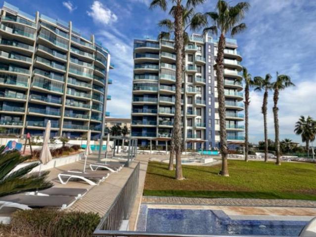 2 Dormitorio Apartamentos Alicante Alicante 102521635