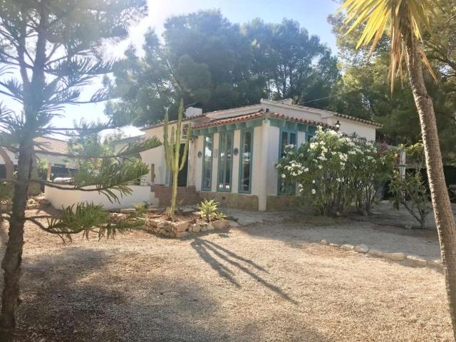 2 Dormitorio Apartamentos Alicante Alicante 98376193